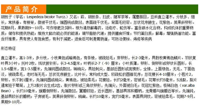 林木种子花卉种子胡枝子种子苗木种子扫皮胡枝条