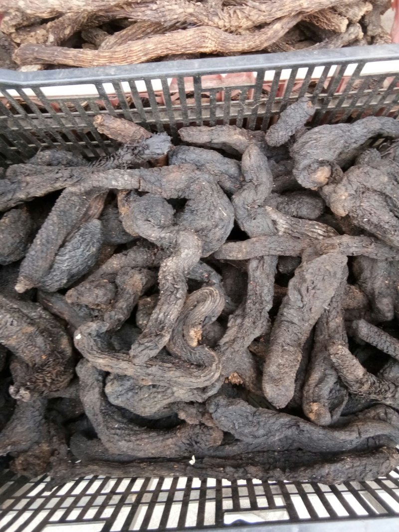 肉苁蓉阿拉善野生肉苁蓉500克软大云泡茶泡酒料