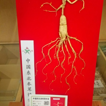 中药材
