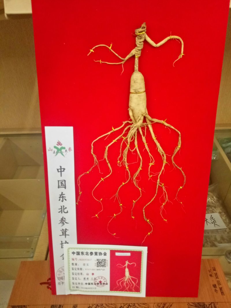 中药材