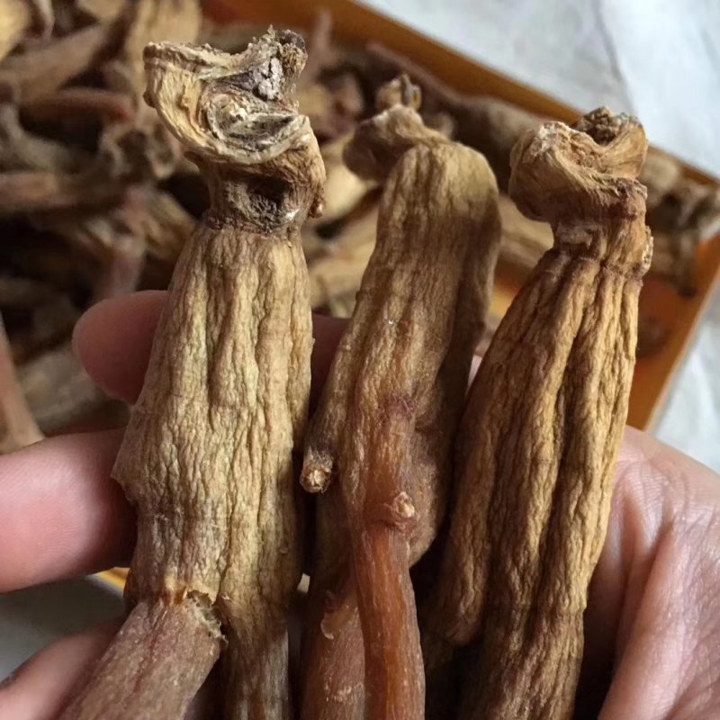 高丽参无糖高丽参10头全枝都是十多年的老参