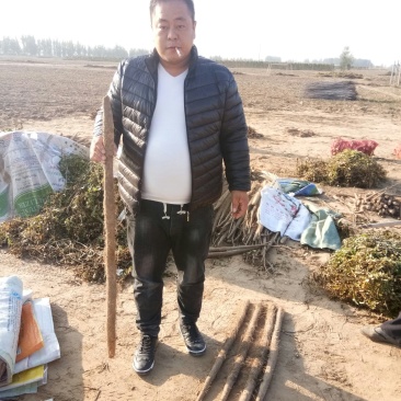 大名山药，产地直发，量大从优，低价走货。