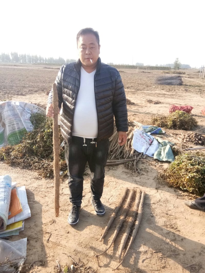 大名山药，产地直发，量大从优，低价走货。