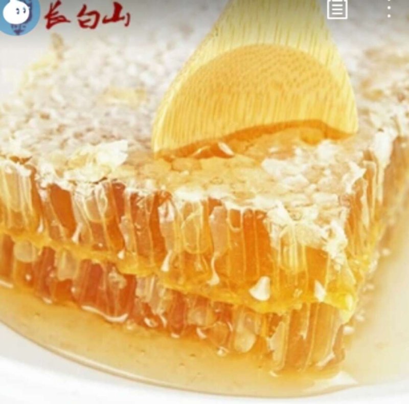 长白山蜂巢蜜250克椴树蜂巢蜜产地直销