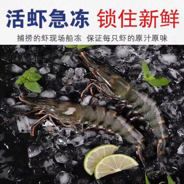 纯野生黑虎虾接受大批量订货