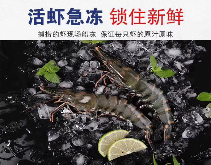 纯野生黑虎虾接受大批量订货