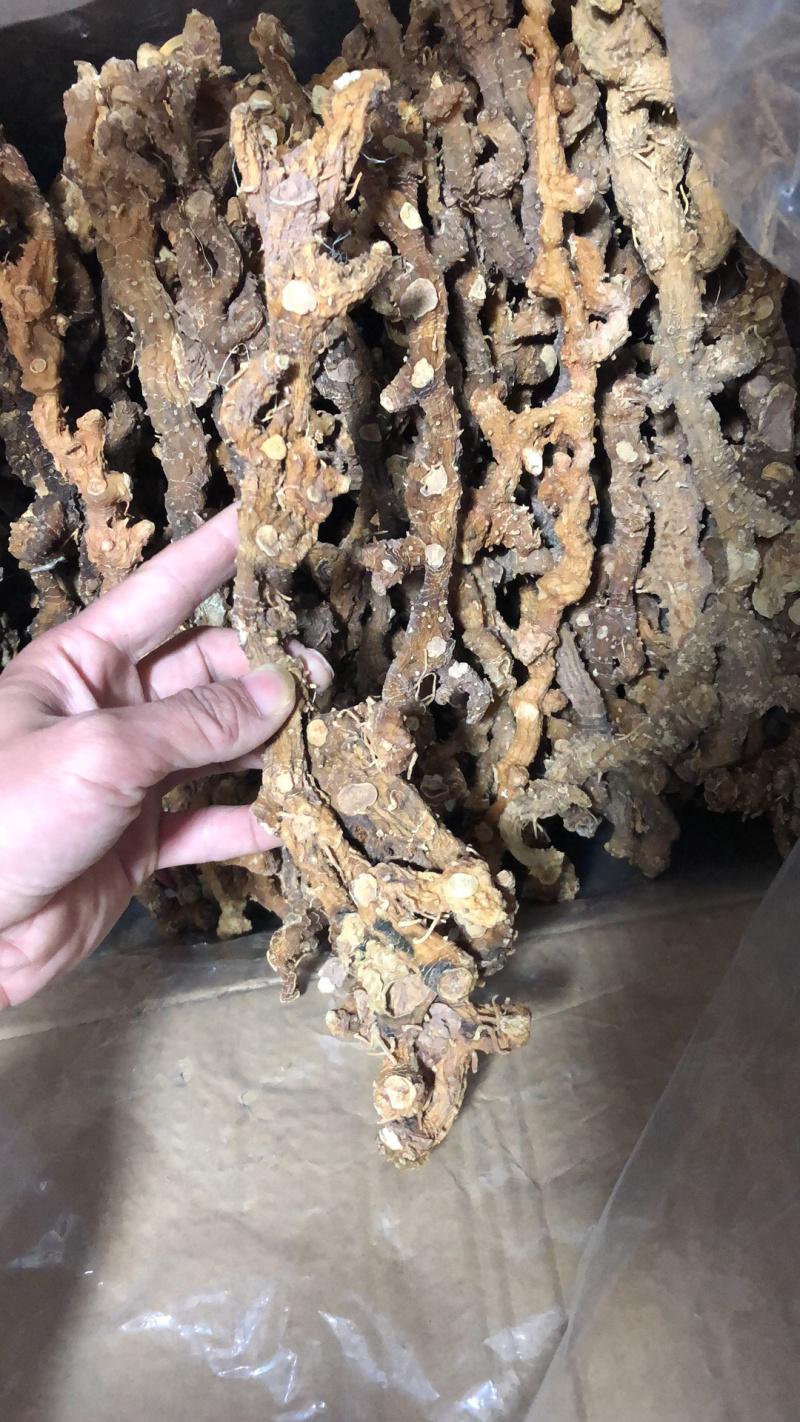 黄精干（肉头饱满、颜色漂亮、干度好）