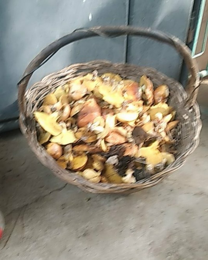 烤干1.5-3的小片最后4箱160斤需要的联系处理价格便