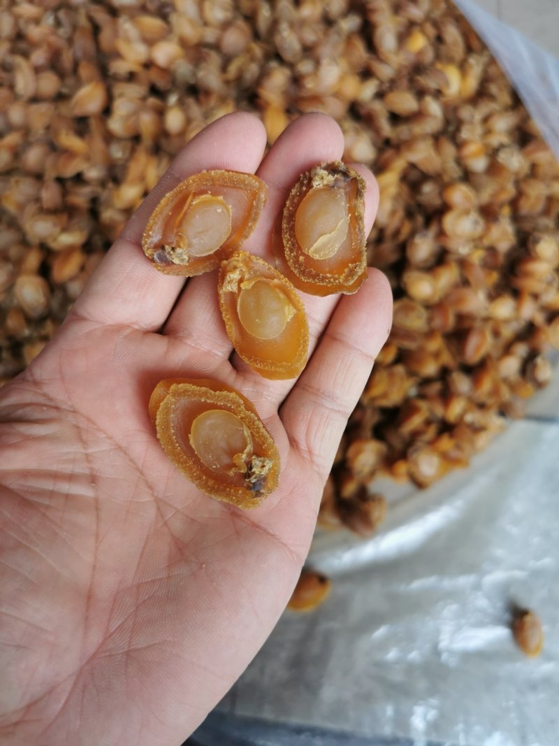 鲍鱼干，广西北海厂家直销，100头左右的鲍鱼，适合酒席