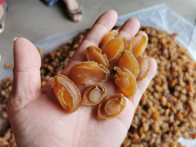 鲍鱼干，广西北海厂家直销，100头左右的鲍鱼，适合酒席