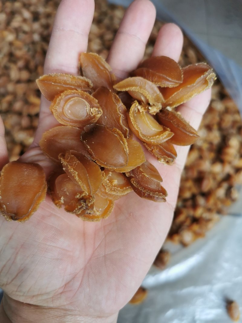 鲍鱼干，广西北海厂家直销，100头左右的鲍鱼，适合酒席