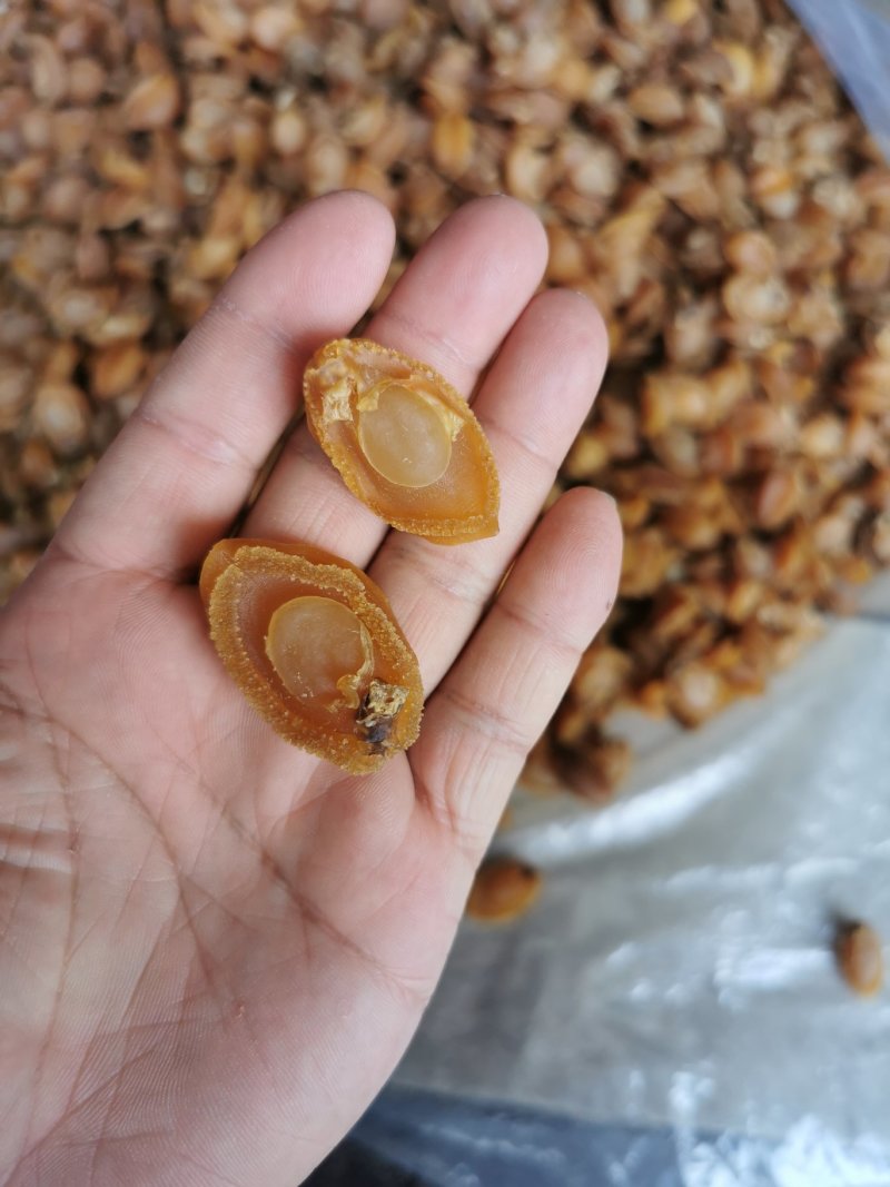 鲍鱼干，广西北海厂家直销，100头左右的鲍鱼，适合酒席