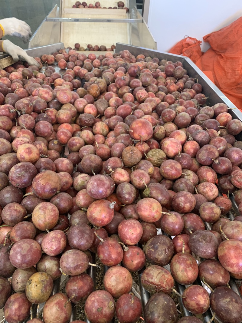 百香果皮百香果果脯原料