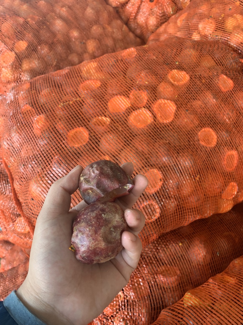 百香果皮百香果果脯原料