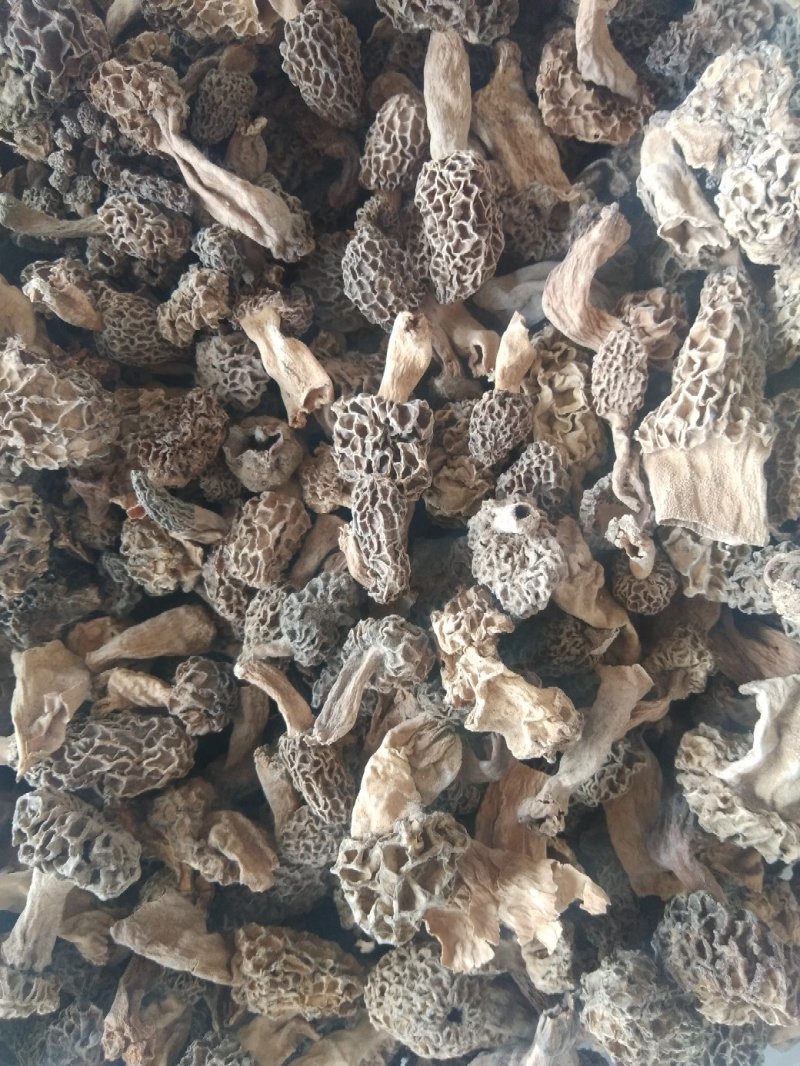 羊肚菌，食用菌干品羊肚菌