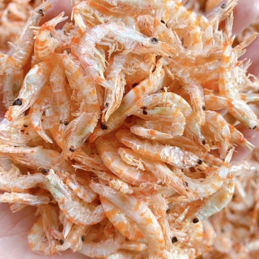 南极磷虾干