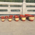 仿陶瓷花盆果树盆塑料花盆
