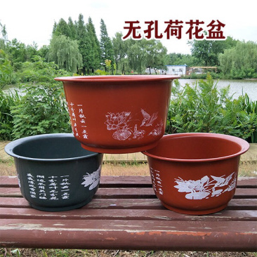 花盆无孔荷花盆塑料花盆加厚花盆
