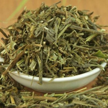 响铃草千余品种供应承接订单