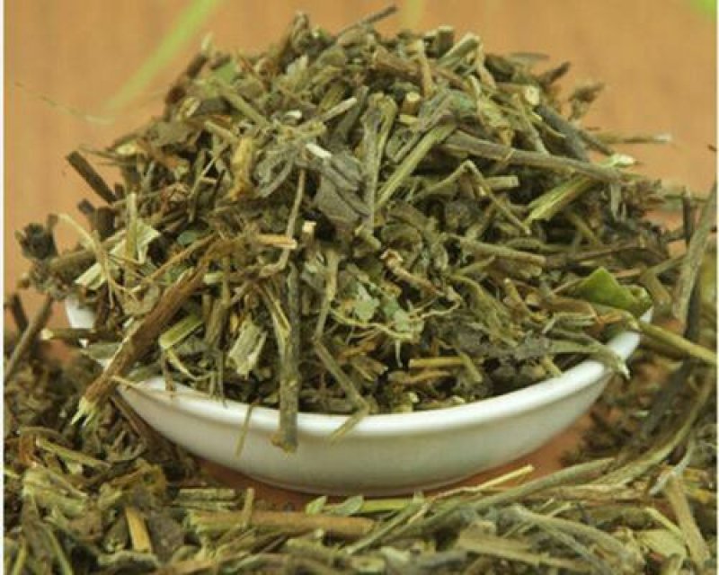 响铃草千余品种供应承接订单