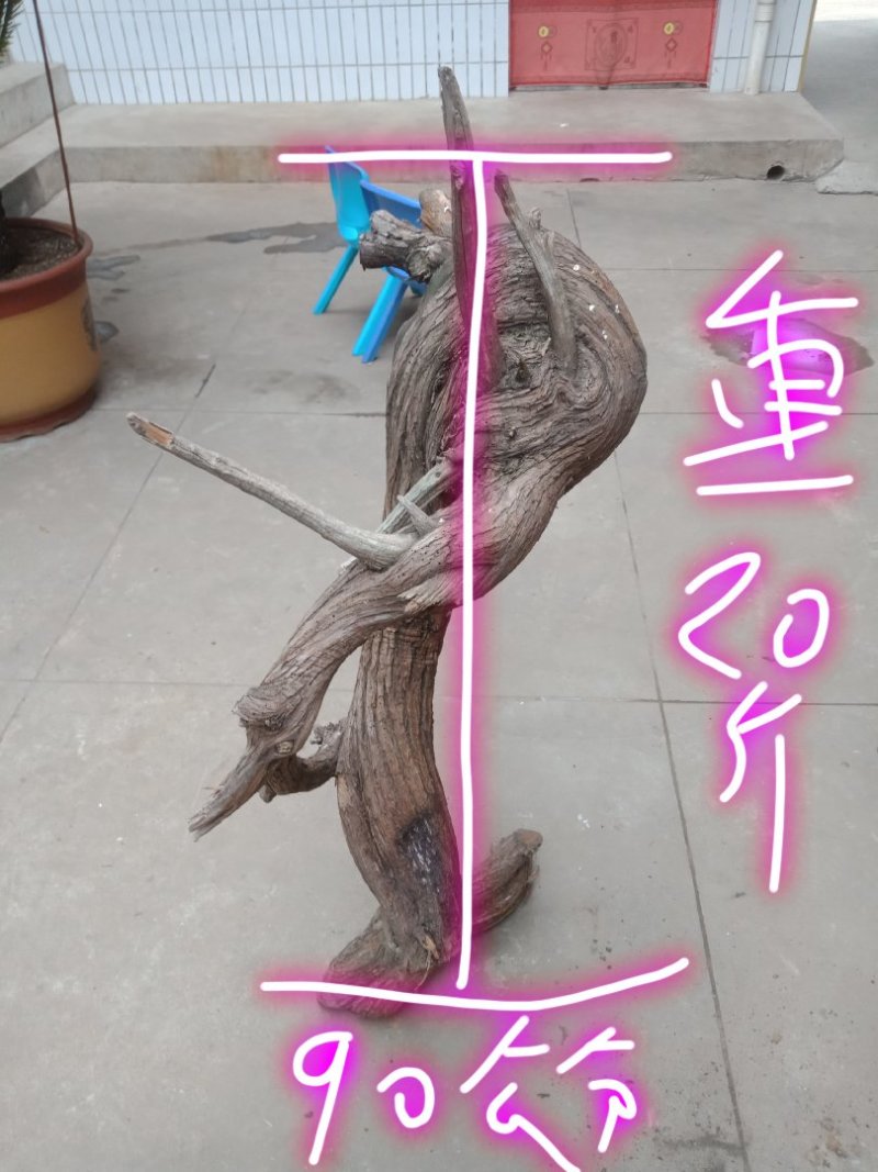 山西临汾太行崖柏毛料批发