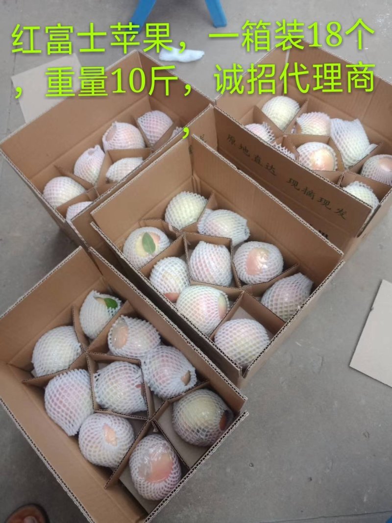 红富士苹果，现摘现发