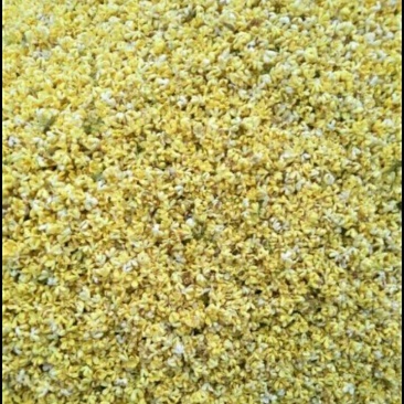 桂花瓣，鲜桂花，桂花，，，