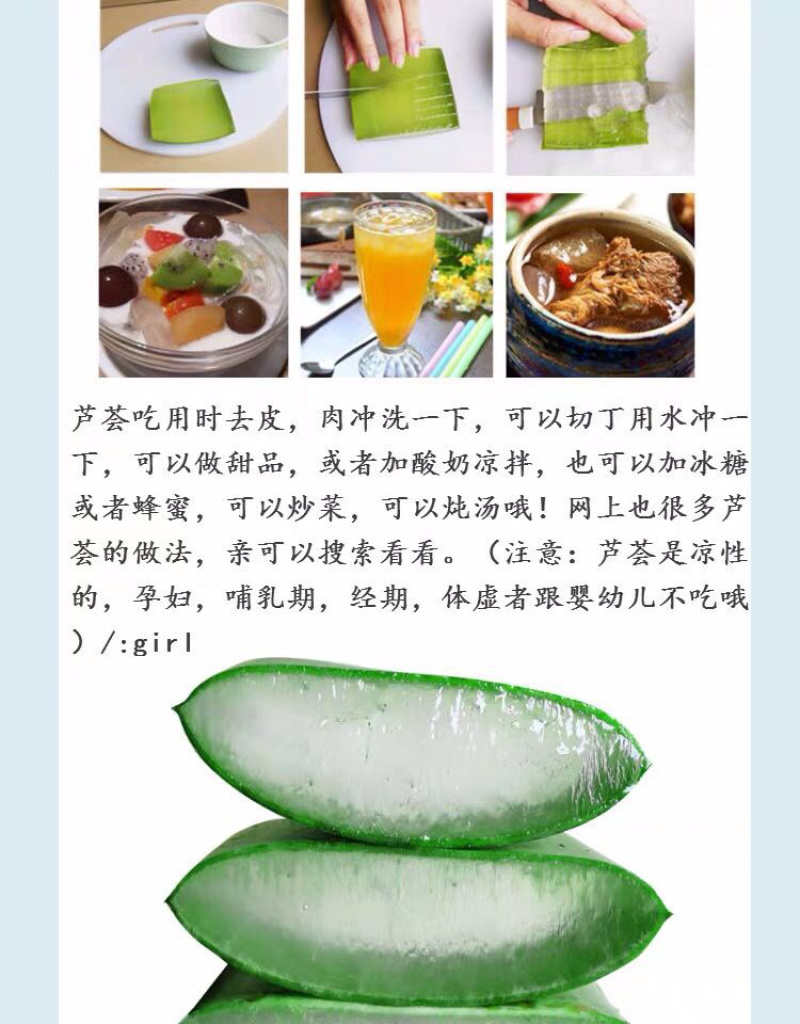 芦荟库拉索芦荟芦荟基地芦荟苗