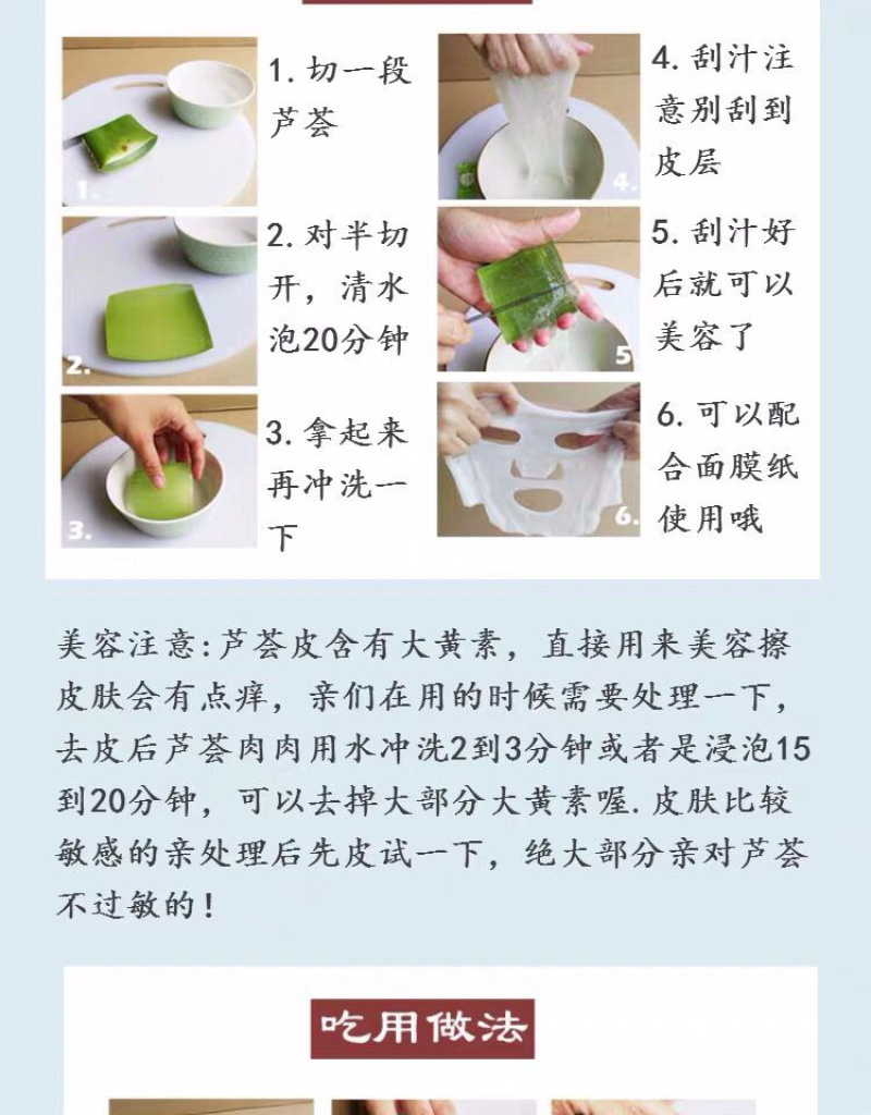 芦荟库拉索芦荟芦荟基地芦荟苗