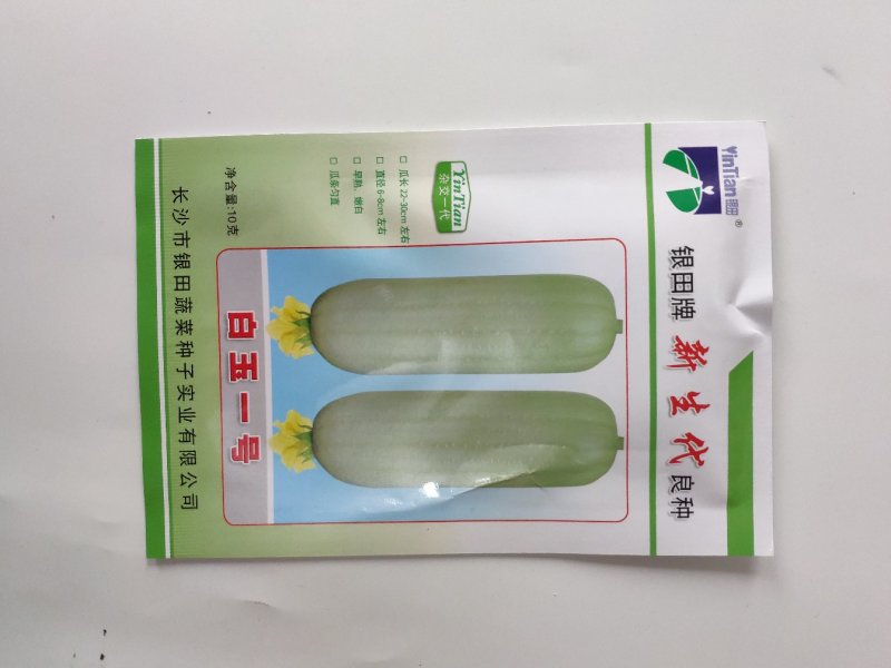 白玉一号早熟白香丝瓜短帮丝瓜种籽