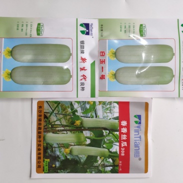 白玉一号早熟白香丝瓜短帮丝瓜种籽