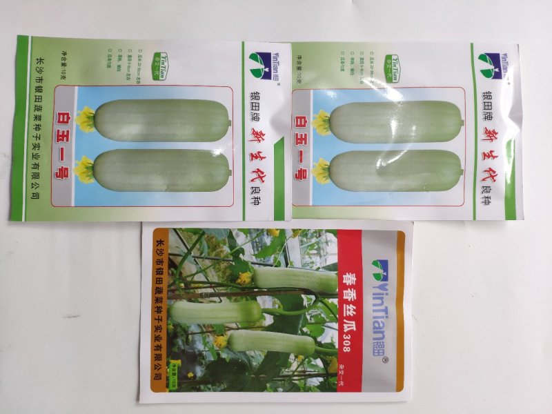 白玉一号早熟白香丝瓜短帮丝瓜种籽