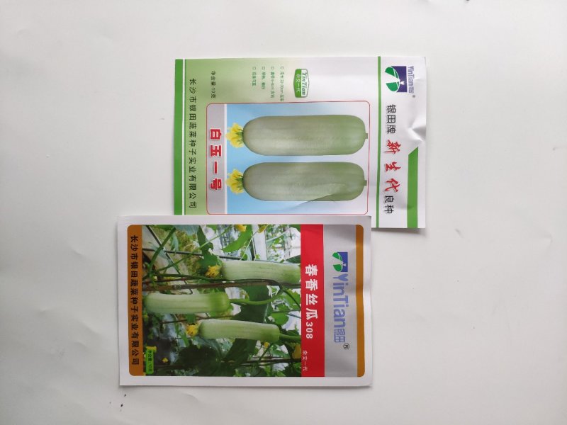 白玉一号早熟白香丝瓜短帮丝瓜种籽