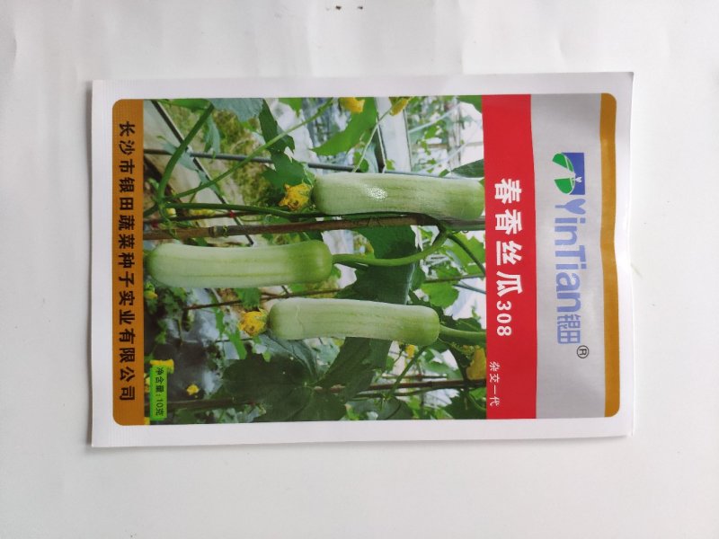 白玉一号早熟白香丝瓜短帮丝瓜种籽