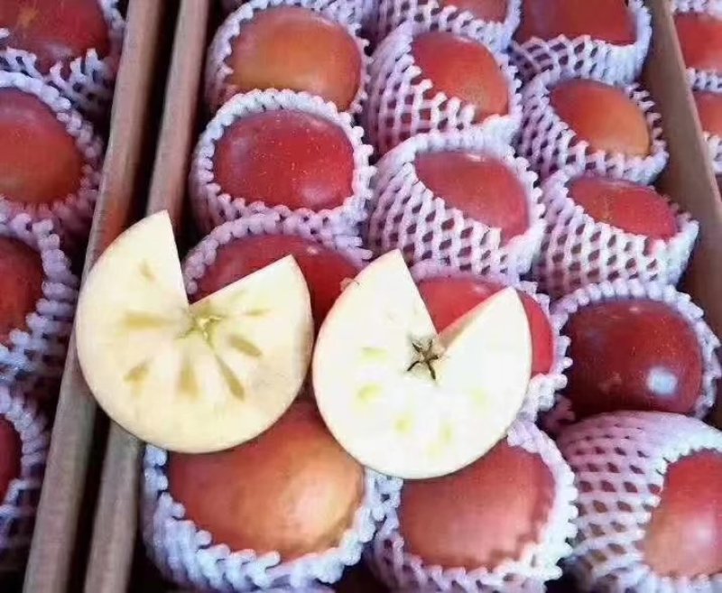 盐源冰糖苹果
