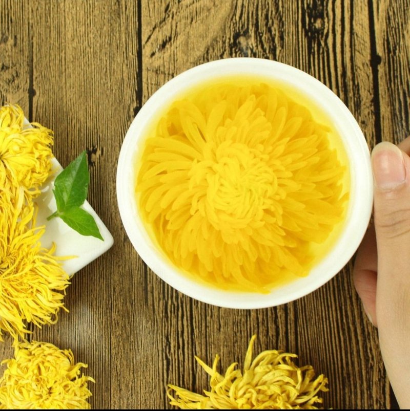 金丝皇菊