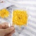 金丝皇菊