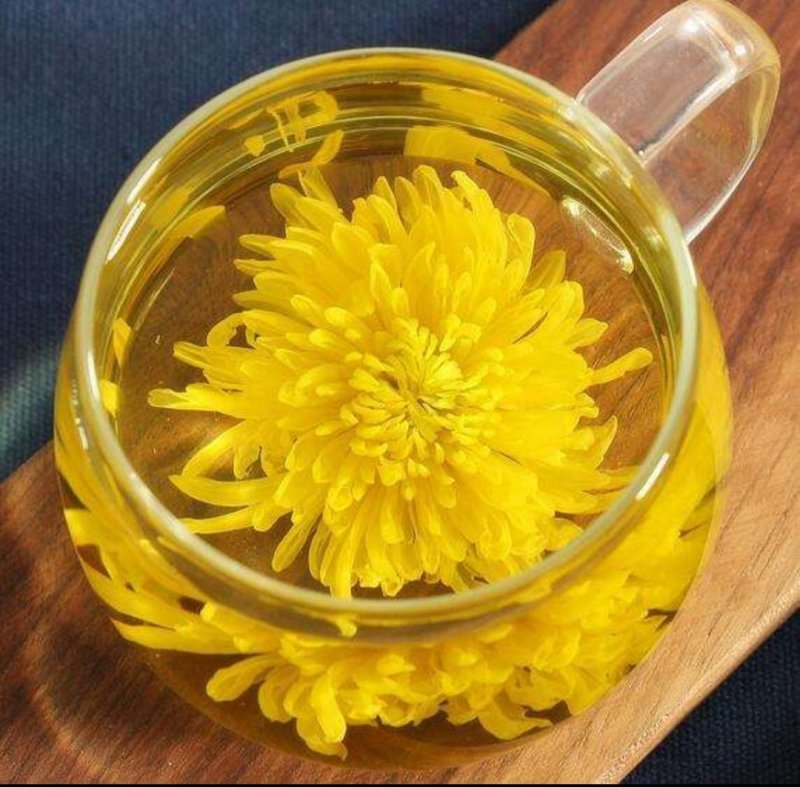 金丝皇菊