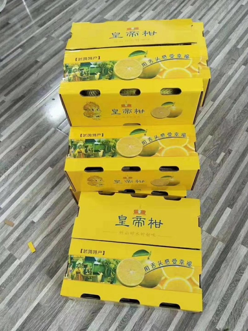 皇帝柑现摘现发产地批发一件代发