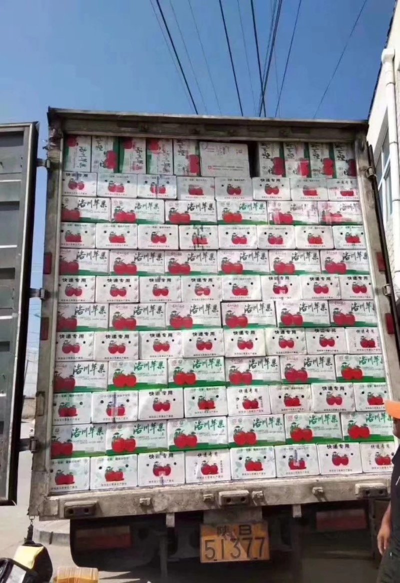 正宗精品洛川红富士苹果