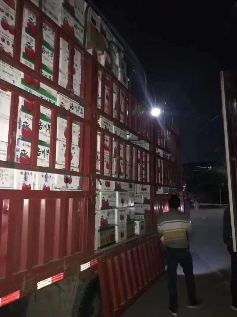正宗精品洛川红富士苹果
