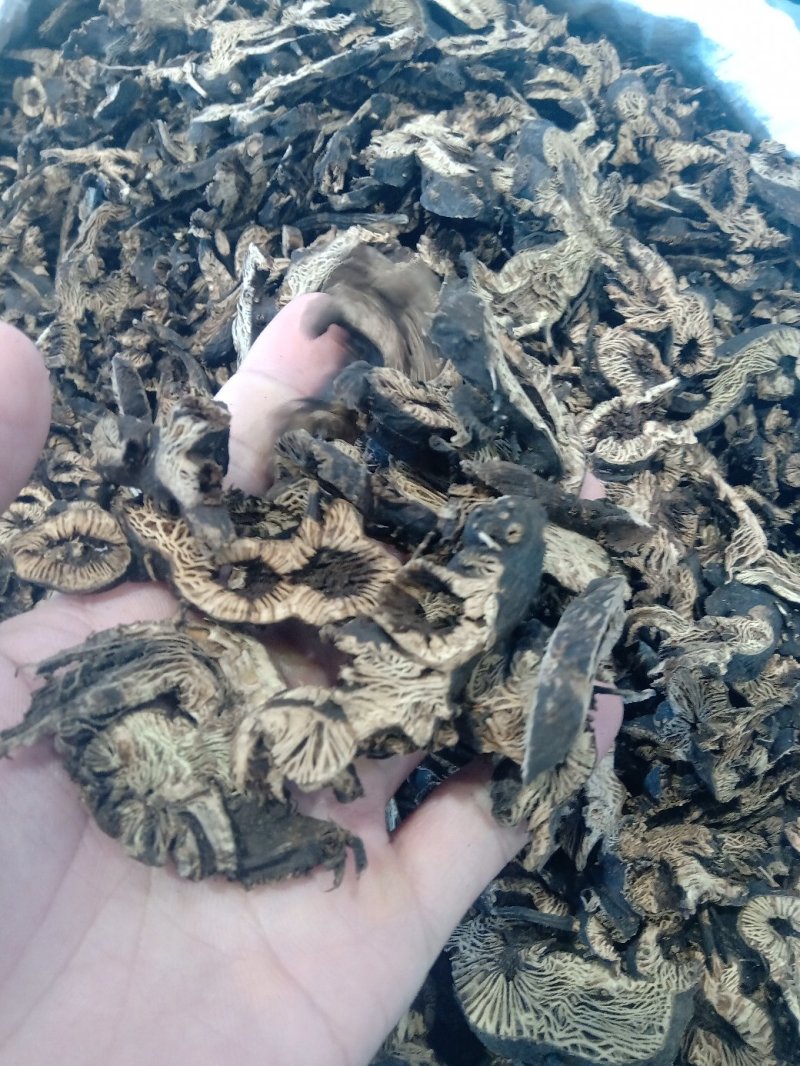 升麻1公斤起批不包邮供应千种中药材批发零售各种中药材