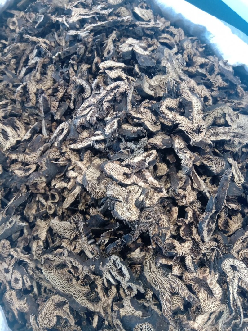 升麻1公斤起批不包邮供应千种中药材批发零售各种中药材