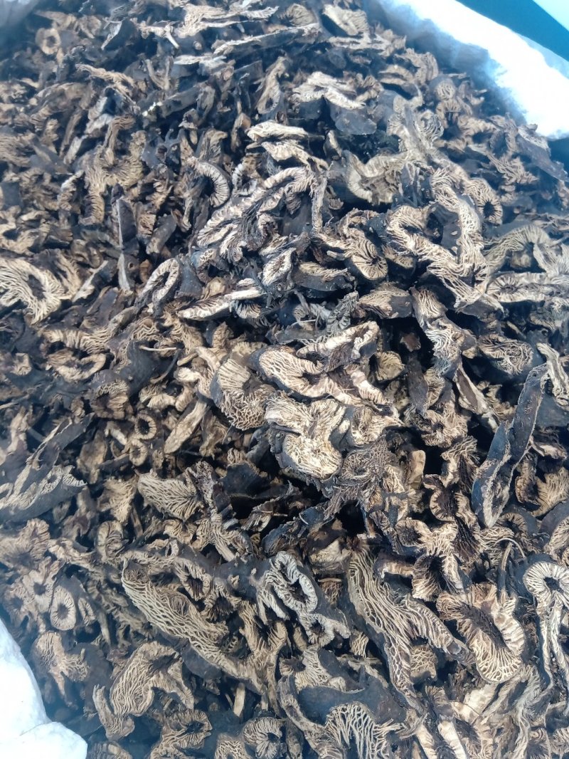 升麻1公斤起批不包邮供应千种中药材批发零售各种中药材