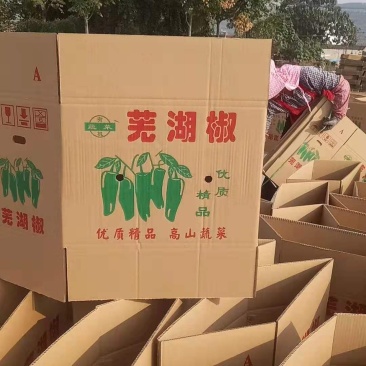 纸箱