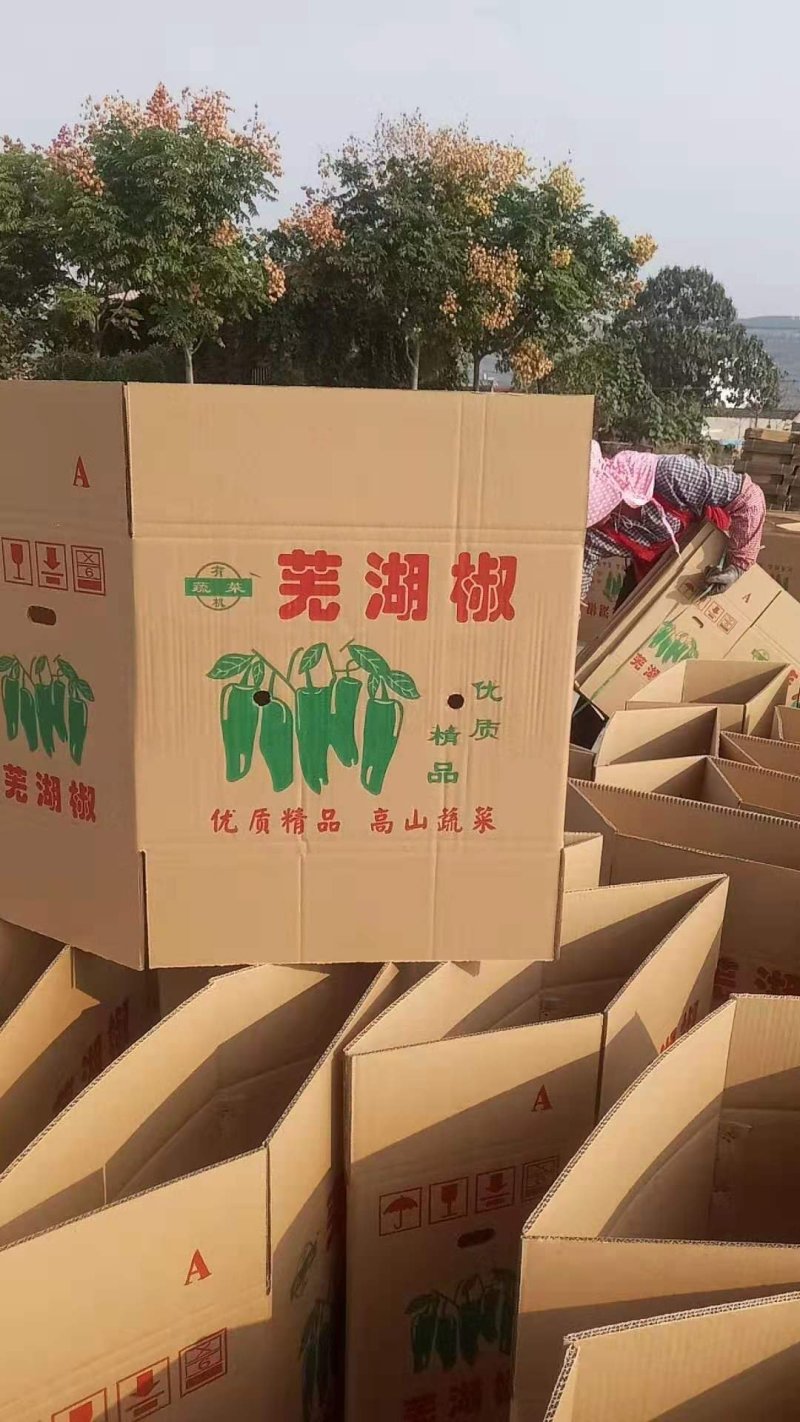 纸箱