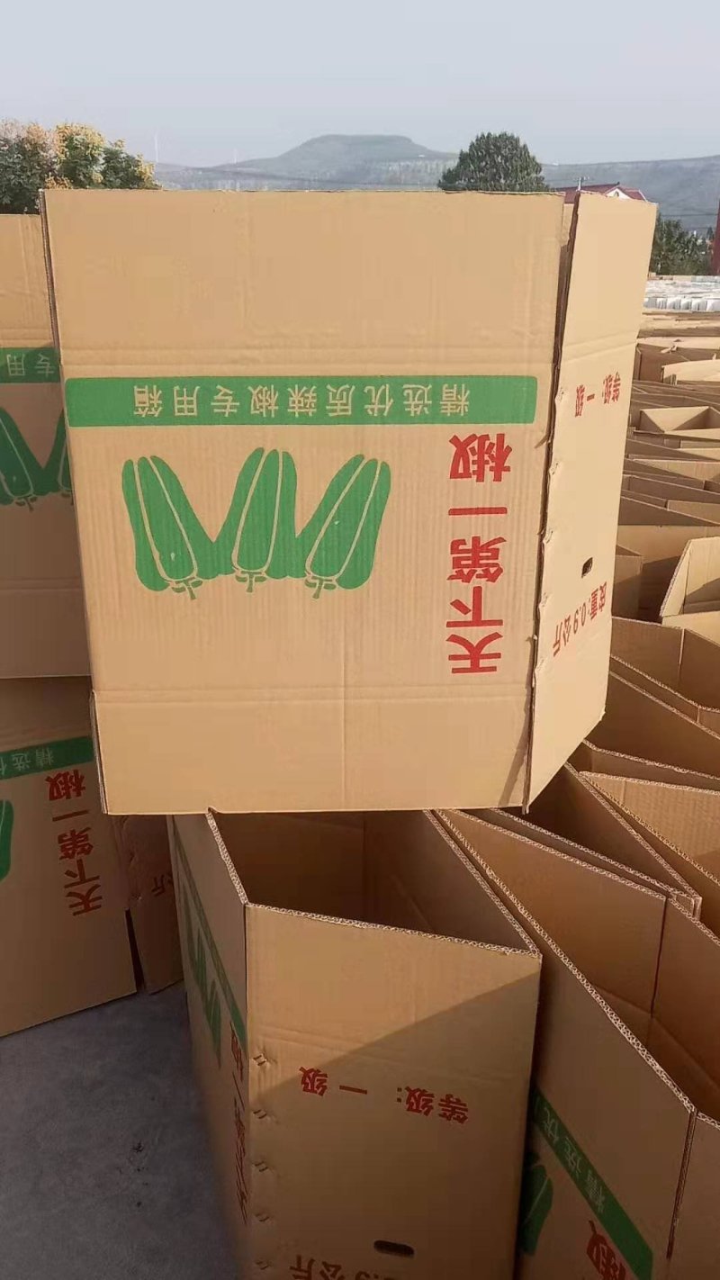 纸箱1号（530*290*370）