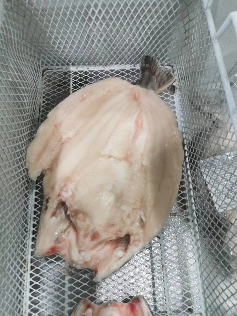腌制开背巴沙鱼，烤鱼店专供，探鱼同款