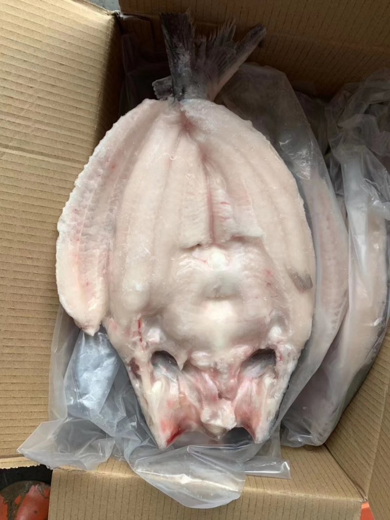 腌制开背巴沙鱼，烤鱼店专供，探鱼同款