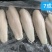 越南一手进口去皮巴沙鱼柳